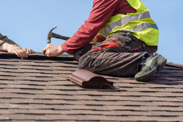 Best Metal Roofing Contractor  in Woody, WA